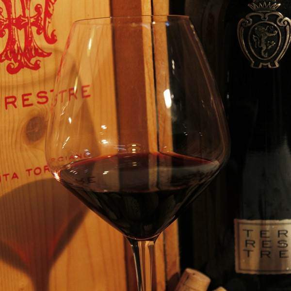 2001 Terrestre "Argento"